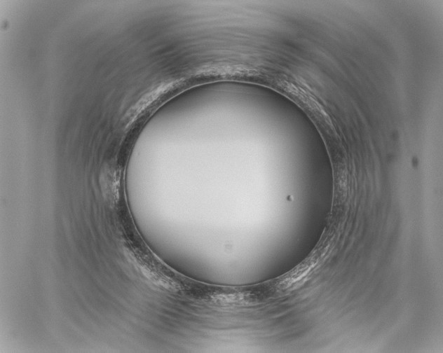 X0000059060160200510281641