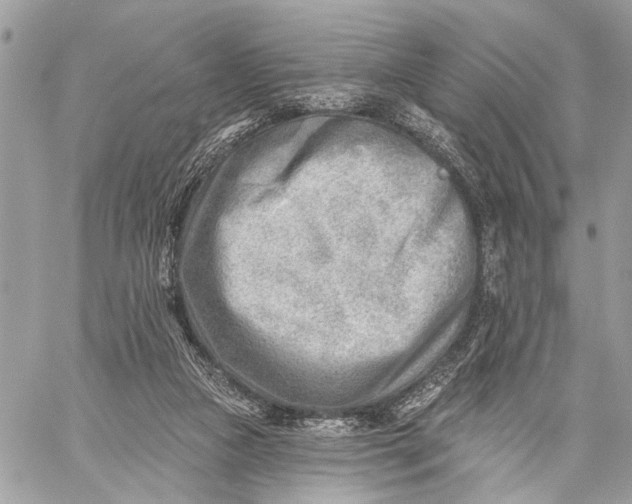 X0000059060161200510281641