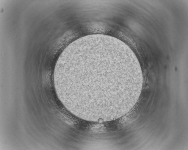 X0000059060162200510281641