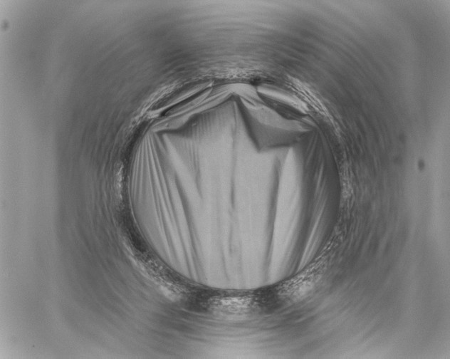 X0000059060163200510281641