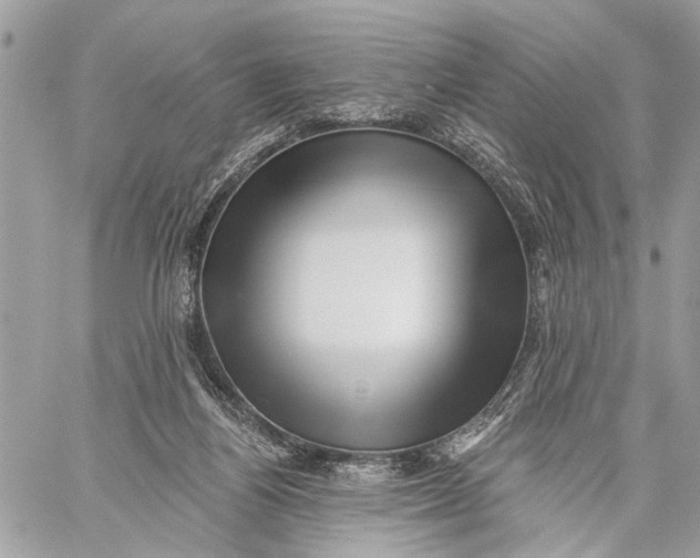 X0000059060164200510281641