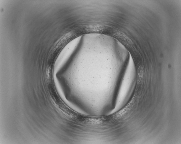 X0000059060166200510281641