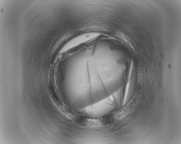 X0000059060167200510281641