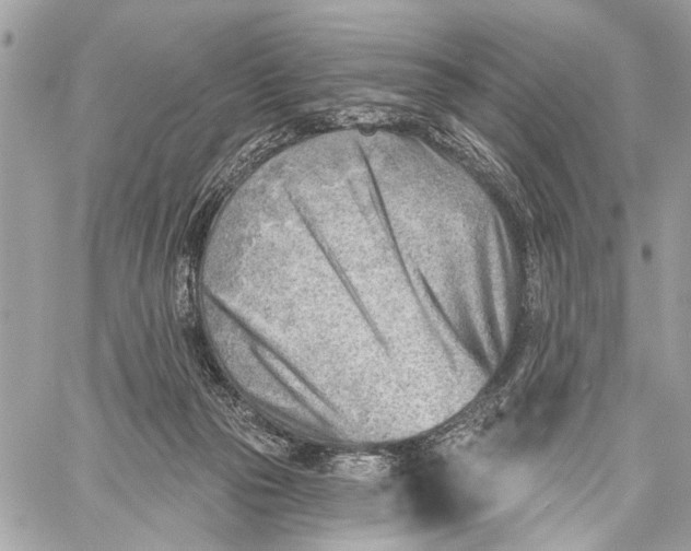 X0000059060169200510281641