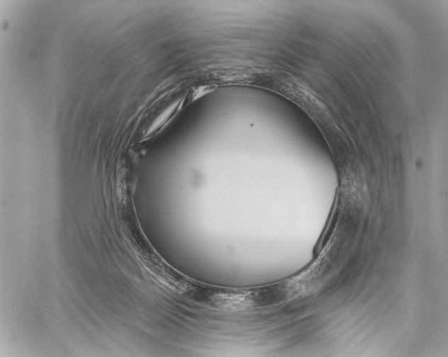 X0000059060170200510281641