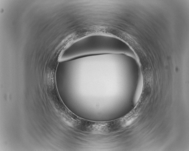 X0000059060172200510281642