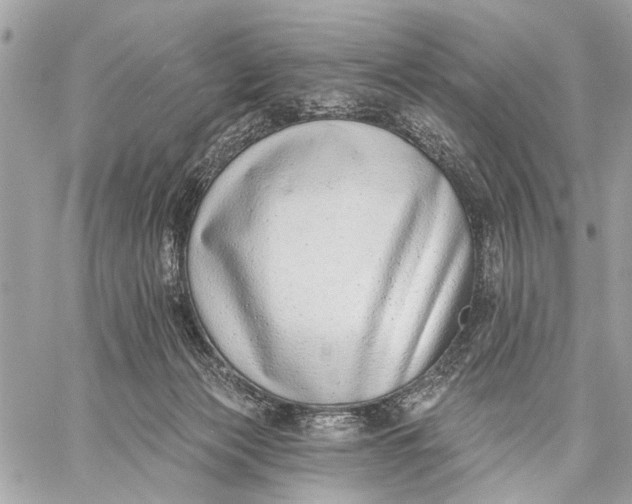 X0000059060173200510281642