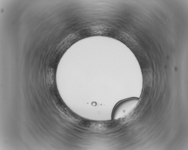 X0000059060174200510281642