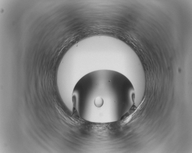 X0000059060175200510281642