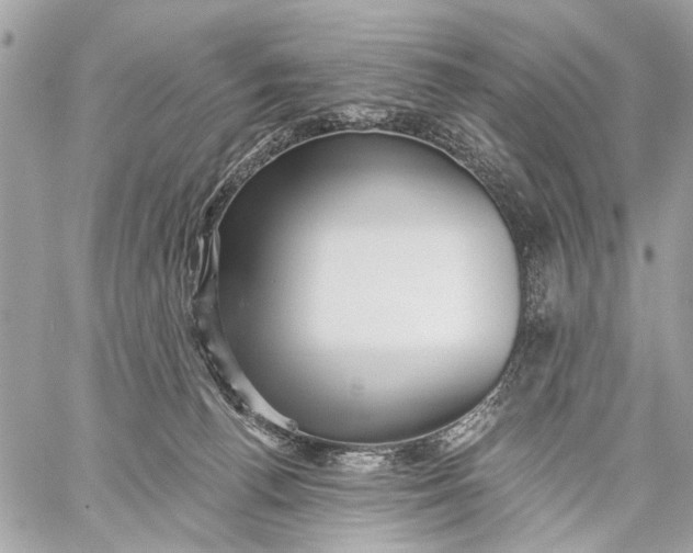 X0000059060176200510281642