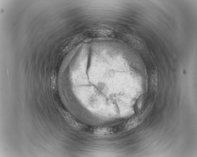 X0000059060177200510281642