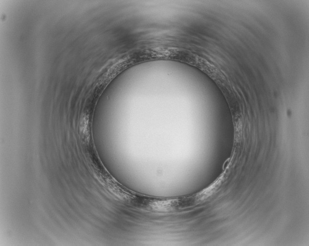 X0000059060178200510281642