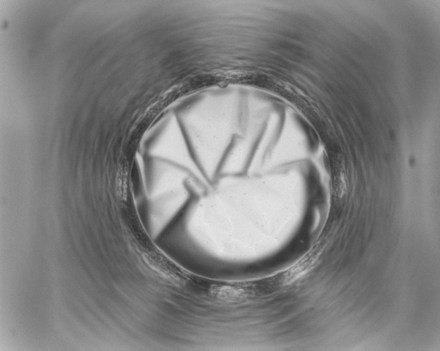 X0000059060180200510281642