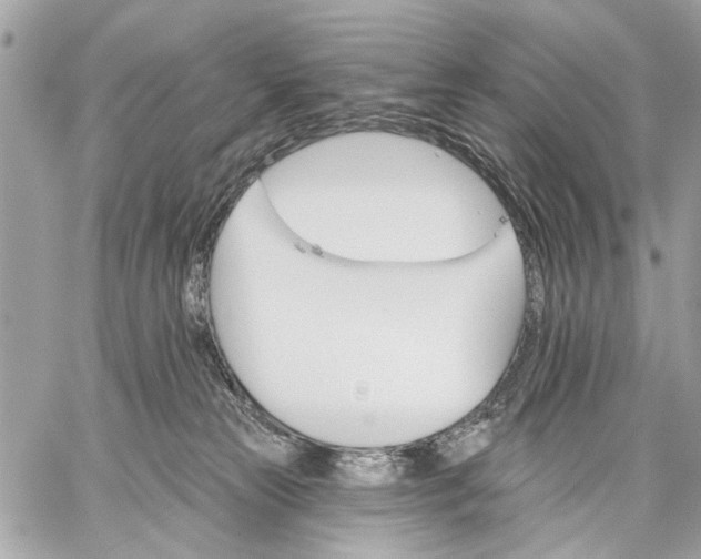 X0000059060181200510281642