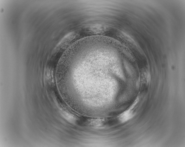 X0000059060182200510281642