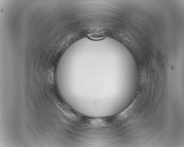 X0000059060183200510281642