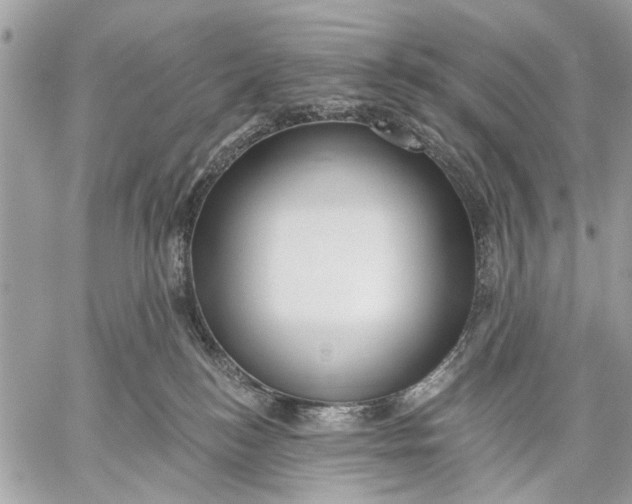 X0000059060184200510281642