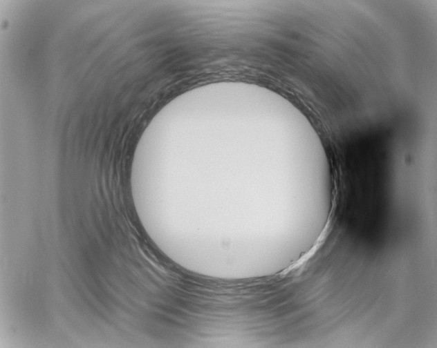 X0000059060186200510281642