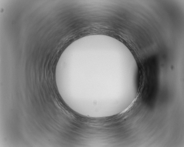 X0000059060187200510281642