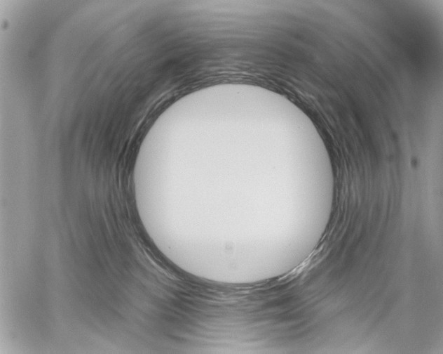 X0000059060188200510281642