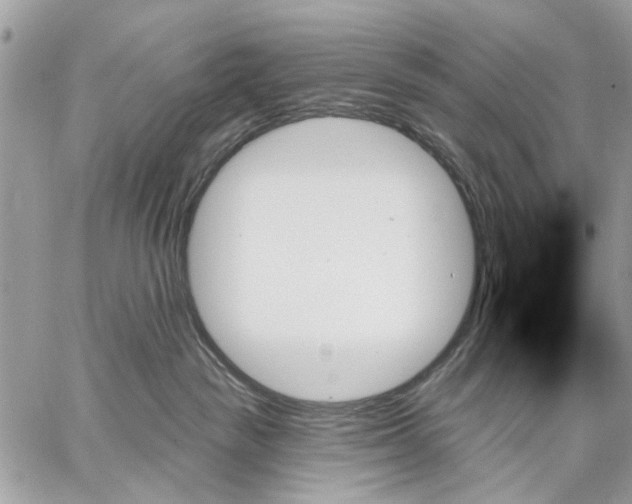 X0000059060189200510281642