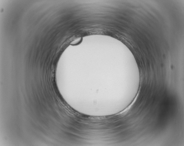 X0000059060190200510281642