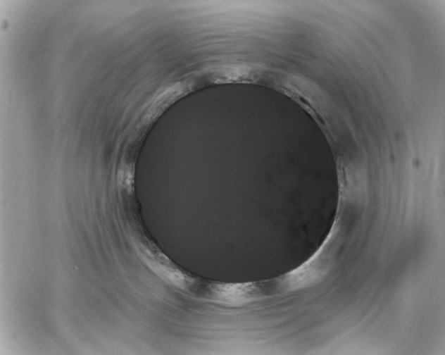 X0000059060191200510281642