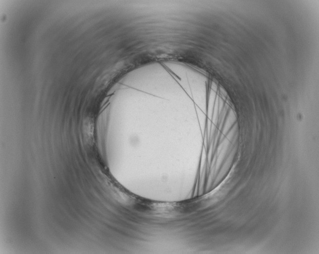 X0000059060192200510281642