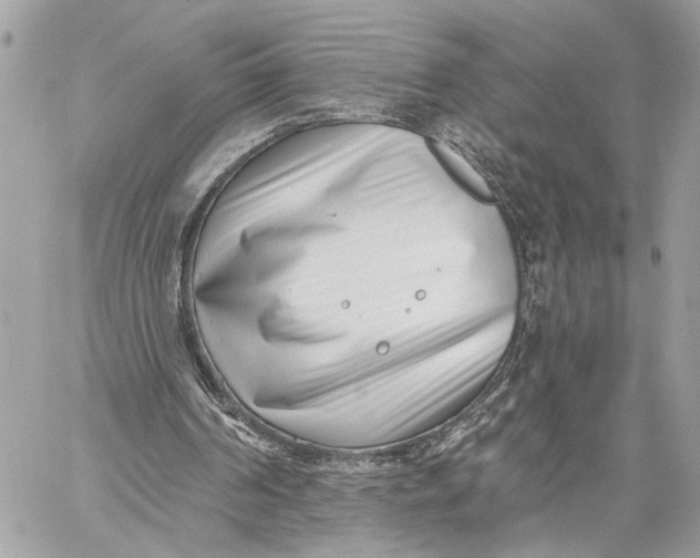 X0000059060194200510281641