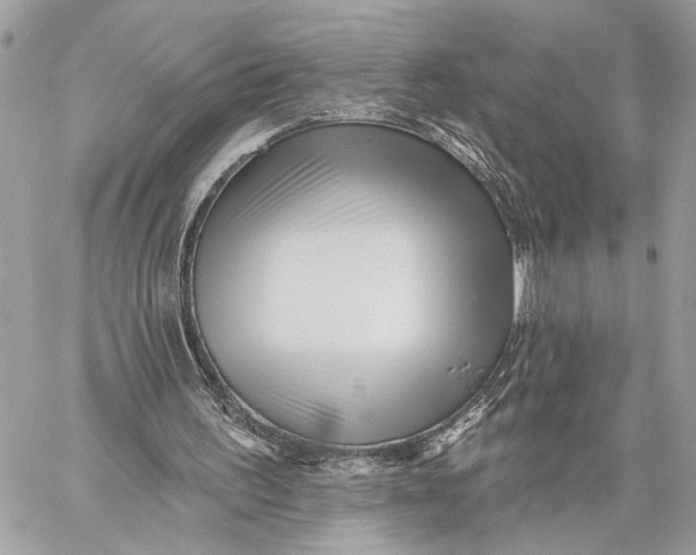 X0000059060195200510281641