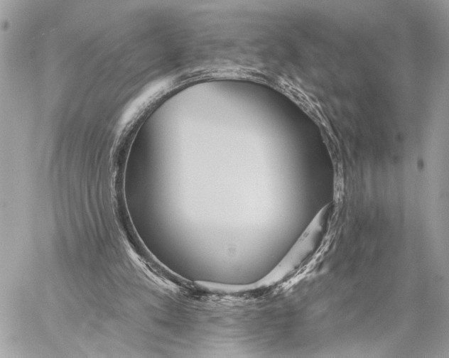 X0000059060197200510281641