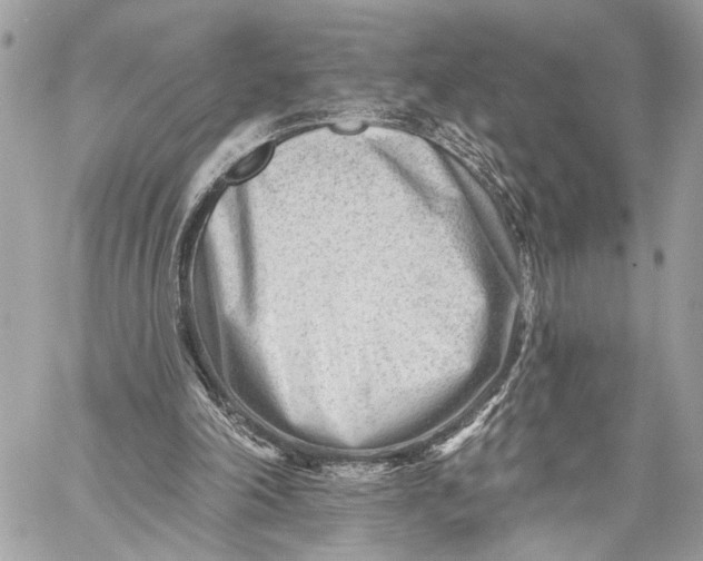 X0000059060198200510281641