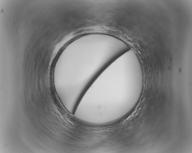 X0000059060200200510281641