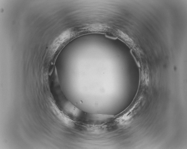 X0000059060201200510281641