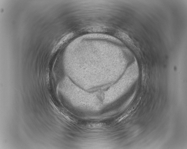 X0000059060202200510281641