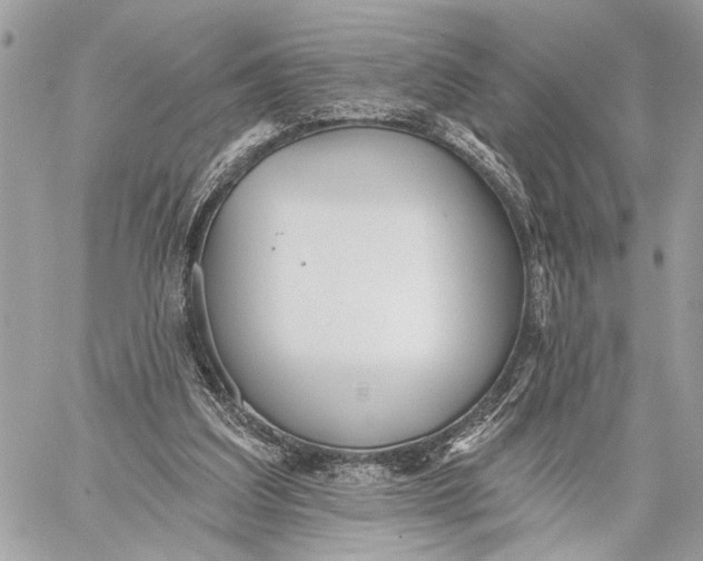 X0000059060203200510281641