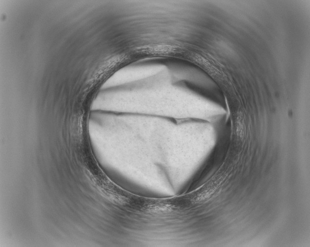 X0000059060206200510281641