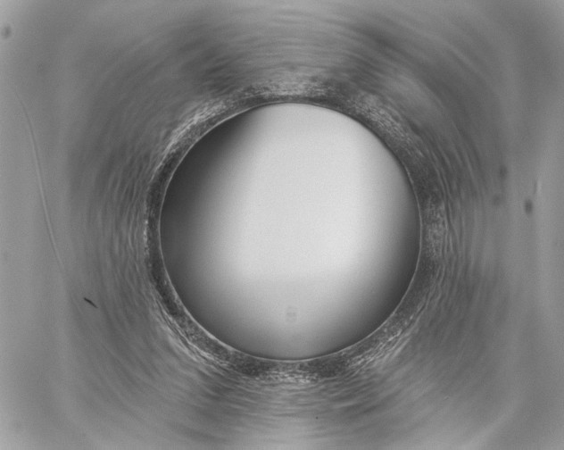 X0000059060207200510281641