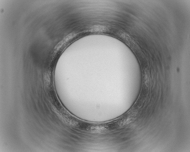 X0000059060208200510281641