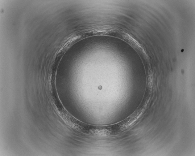 X0000059060209200510281641