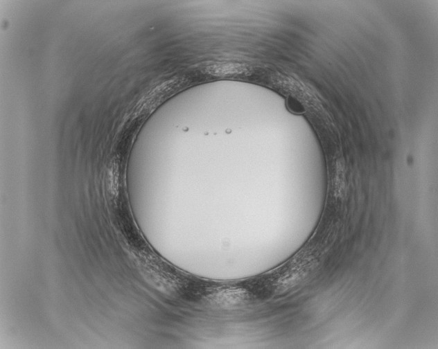 X0000059060210200510281641