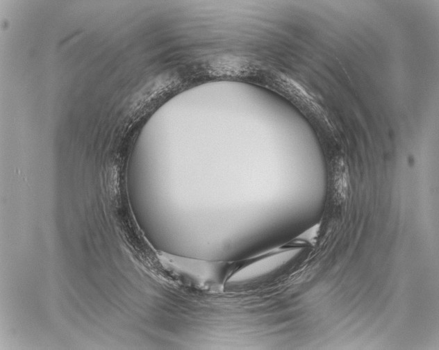 X0000059060211200510281641