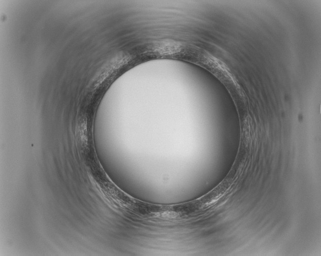 X0000059060212200510281641