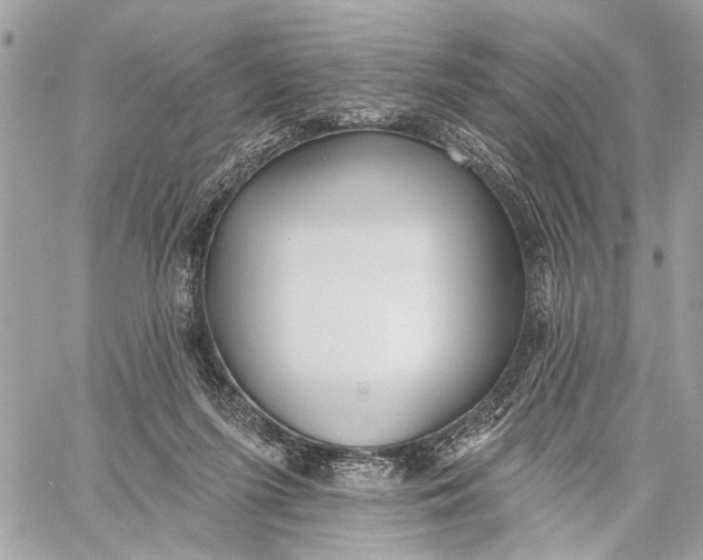 X0000059060215200510281641