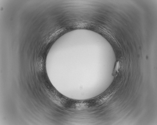 X0000059060216200510281641