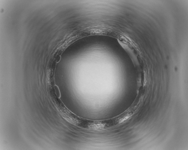 X0000059060217200510281641