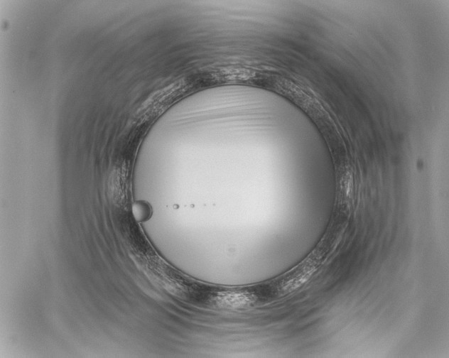 X0000059060218200510281641