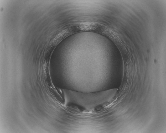 X0000059060219200510281641