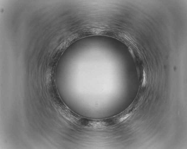 X0000059060221200510281641