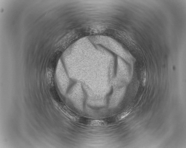 X0000059060222200510281641